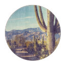 Buscar saguaro tablas cortar Desierto