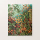 Buscar biología puzzles Ernst haeckel