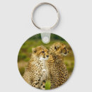 Buscar jubatus accesorios Animal
