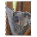 Buscar koala cuadernos Naturaleza
