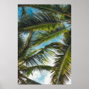 Buscar árbol de coco posters Verde