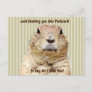 Buscar groundhog postales Animales