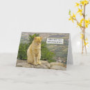 Buscar cerrado tarjetas Gato