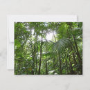 Buscar dominicano tarjetas Tropical