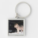 Buscar lobos llaveros Naturaleza