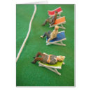 Buscar espectadores Deporte
