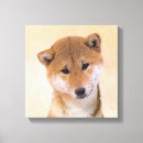 Buscar shiba inu arte Perro