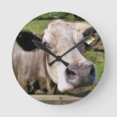 Buscar vacas lindas arte General y unisex