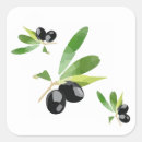 Buscar aceitunas pegatinas Mediterráneo