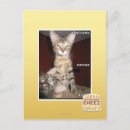 Buscar idiotas postales Puedo tener cheezburger