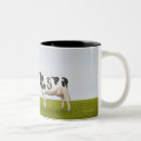 Buscar riqueza tazas Negocio