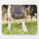 Buscar agricultura alfombrillas de raton Escena rural