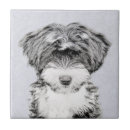 Buscar tibetano azulejos Perro