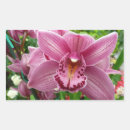 Buscar orquídeas pegatinas General y unisex