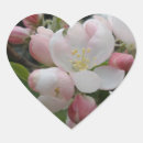 Buscar pared pegatinas Blanco