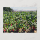 Buscar organic postales Agricultura