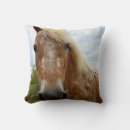 Buscar cara del caballo cojines 6 º cara
