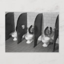 Buscar cuartos de baño postales Divertido