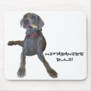 Buscar weimaraner electronica Animales