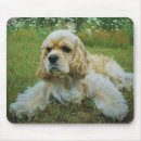 Buscar cocker spaniel alfombrillas de raton Perro de aguas