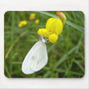Buscar mariposa blanca alfombrillas de raton Naturaleza