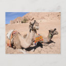 Buscar camello del desierto postales Camellos