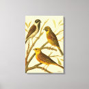 Buscar pájaros lienzos Bird