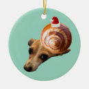 Buscar caracol adornos Humor
