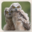 Buscar búhos posavasos Naturaleza