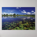 Buscar vida vegetal posters Naturaleza