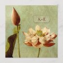 Buscar fleurs Naturaleza