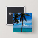 Buscar guadalupe chapas Caribe