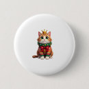 Buscar coon chapas Memes de gatos
