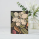 Buscar magnolias blancas postales Para todos