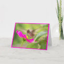 Buscar colibrí tarjetas Jardín
