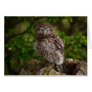 Buscar atenas fotografía Naturaleza
