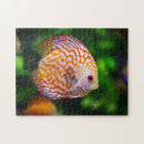 Buscar peces puzzles General y unisex