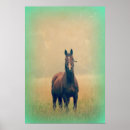 Buscar del pie posters Caballo
