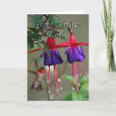 Buscar fucsia tarjetas Madre