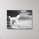 Buscar caniches lienzos Perro