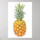 Buscar comestible posters 8 º fruta