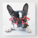 Buscar french bulldog arte Domestic animals