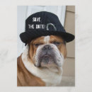 Buscar fiesta de barrio invitaciones Vecindad