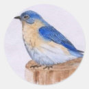 Buscar bluebird pegatinas Acuarela