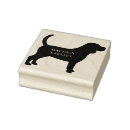Buscar lindo mutt Cachorros