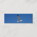 Buscar gaviotas tarjetas de visita Vuelo