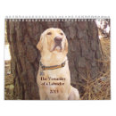 Buscar labrador retriever calendarios Divertido