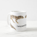Buscar gecko tazas Reptil