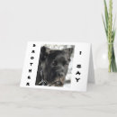 Buscar cane corso tarjetas Mastiff