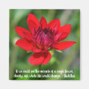 Buscar pantalla imanes Flor